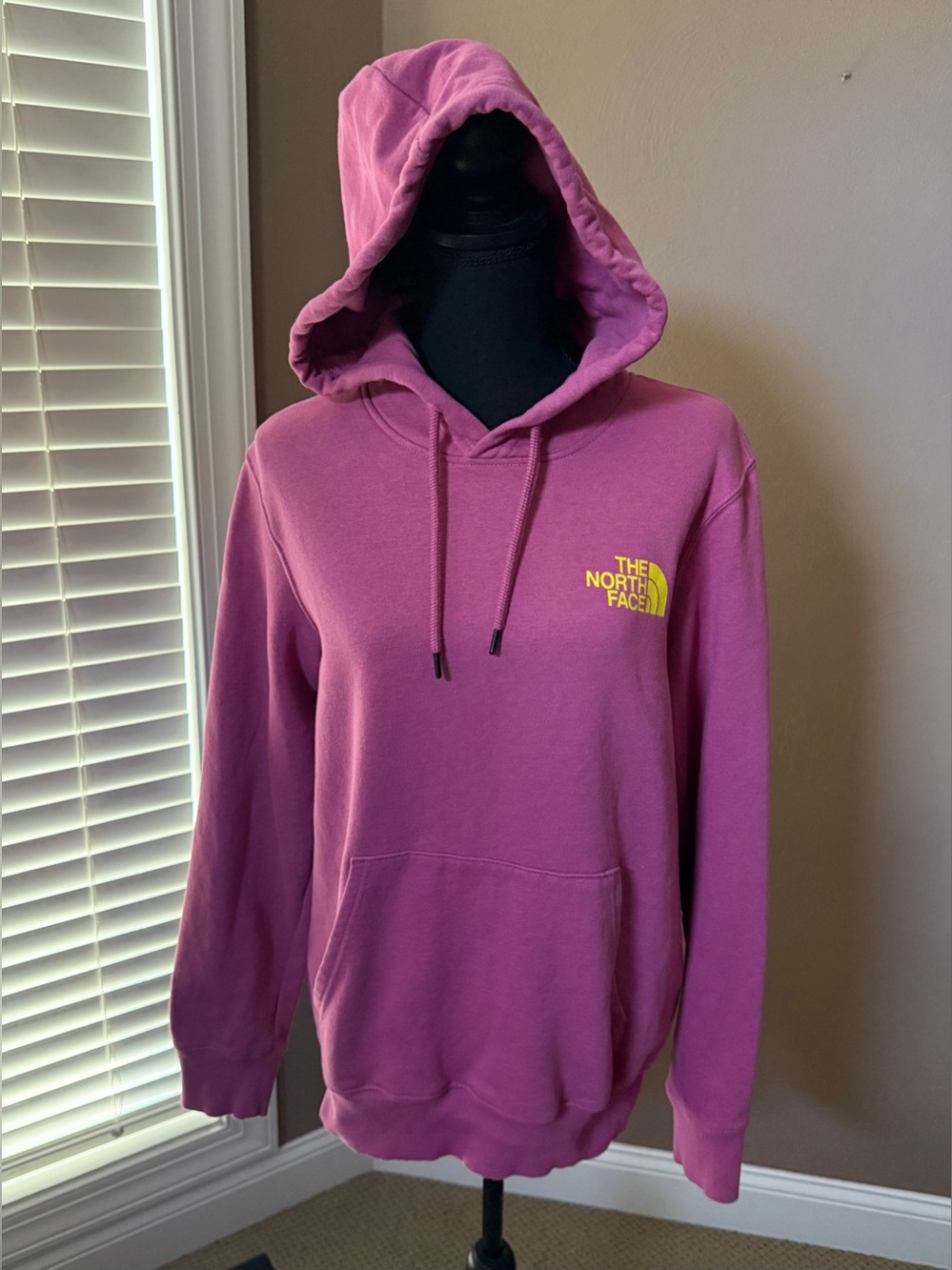 The North Face Men’s Evolution Dusty Rose Graphic Hoodie Size Small